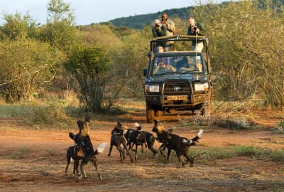 Sosian Lodge Lewa and Laikipia Luxury Family Safaris Kenya Coral Tree Travel