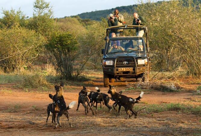 Sosian Lodge Lewa and Laikipia Luxury Family Safaris Kenya Coral Tree Travel