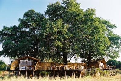 Flatdogs Camp Luxury Family Safaris Zambia Coral Tree Travel