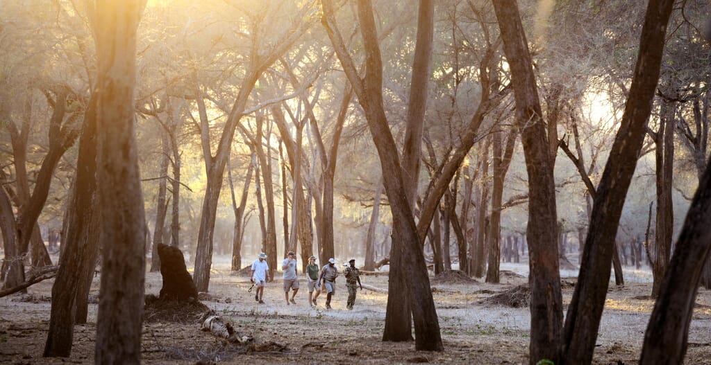 Old Mondoro Camp Luxury Family Safaris Zambia Coral Tree Travel
