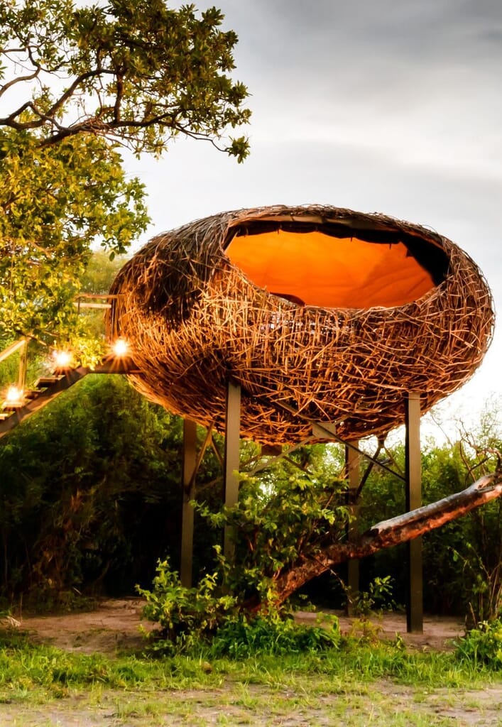 Chisa Busanga Camp Luxury Family Safaris Zambia Coral Tree Travel