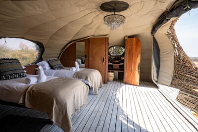 Chisa Busanga Camp Luxury Family Safaris Zambia Coral Tree Travel