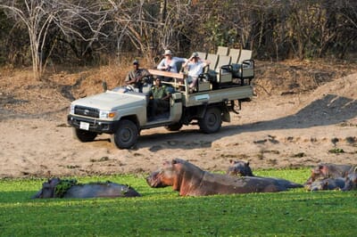 Flatdogs Camp Luxury Family Safaris Zambia Coral Tree Travel