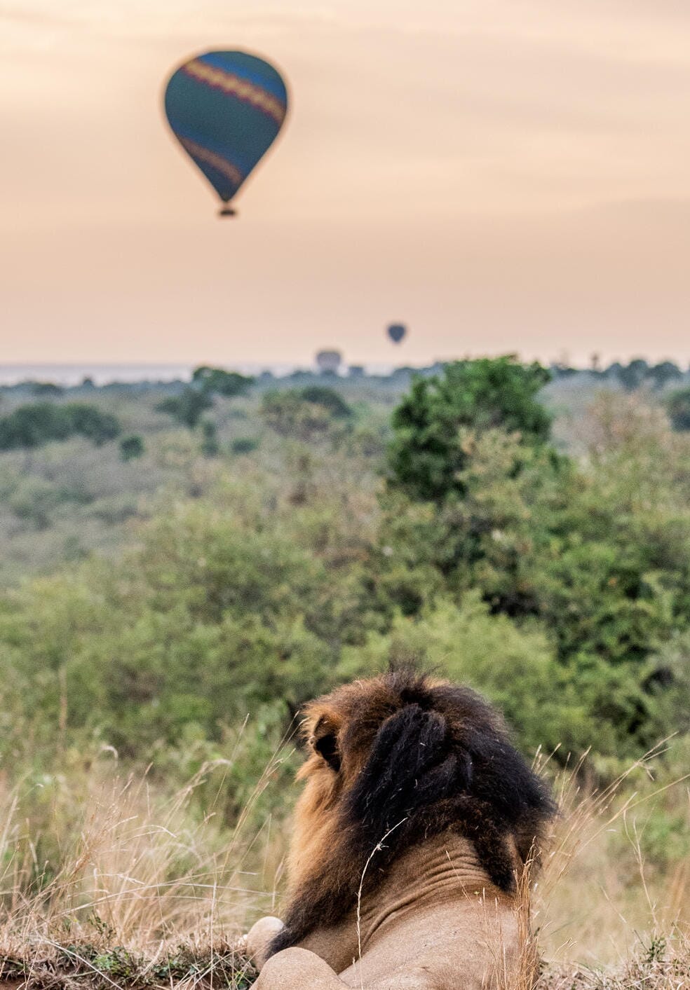 Encounter Mara Camp Masai Mara Luxury Family Safaris Kenya Coral Tree Travel