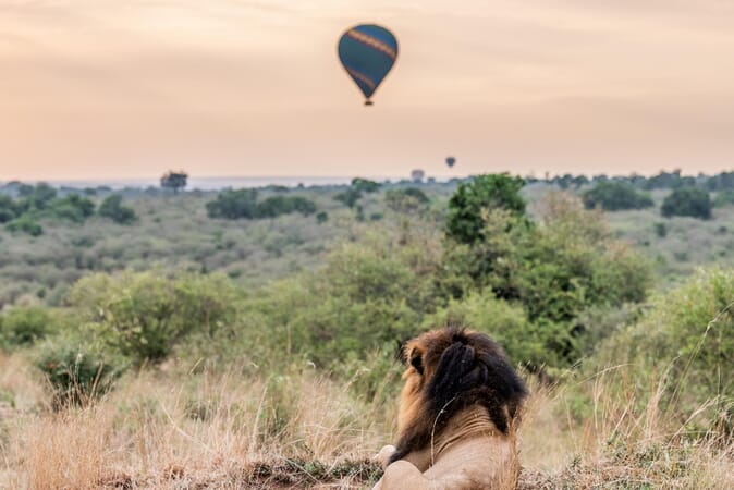 Encounter Mara Camp Masai Mara Luxury Family Safaris Kenya Coral Tree Travel