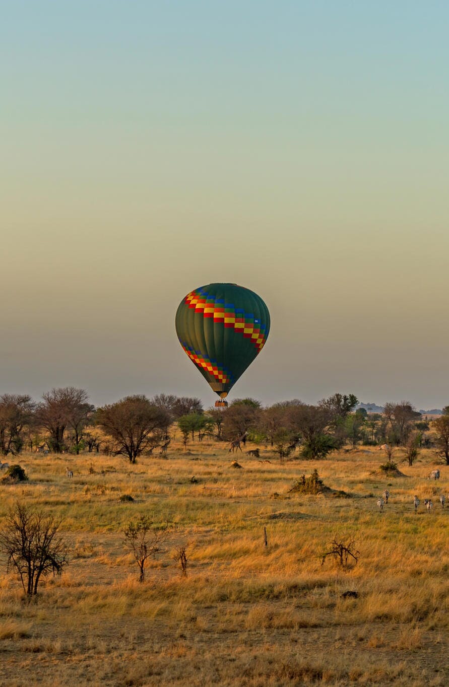 Lemala Kuria Hills Serengeti Tanzania Luxury Family Safaris Coral Tree Travel
