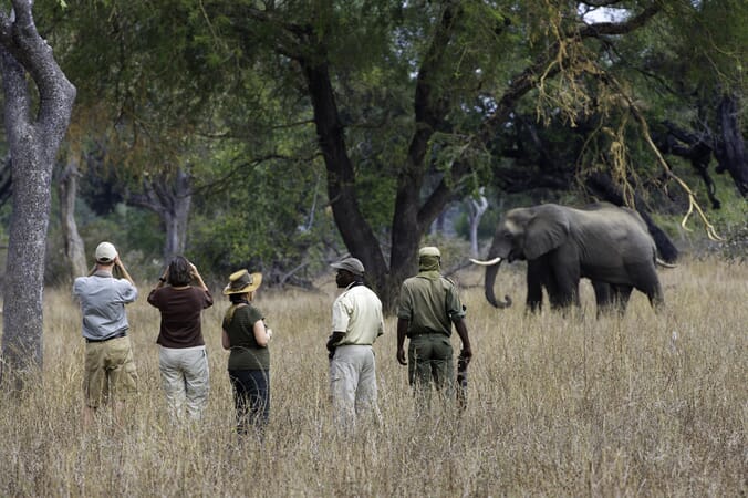 Mfuwe Lodge Luxury Family Safaris Zambia Coral Tree Travel