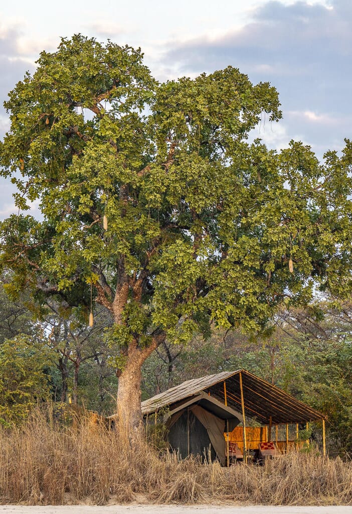Nkonzi Bush Camp Luxury Family Safaris Zambia Coral Tree Travel
