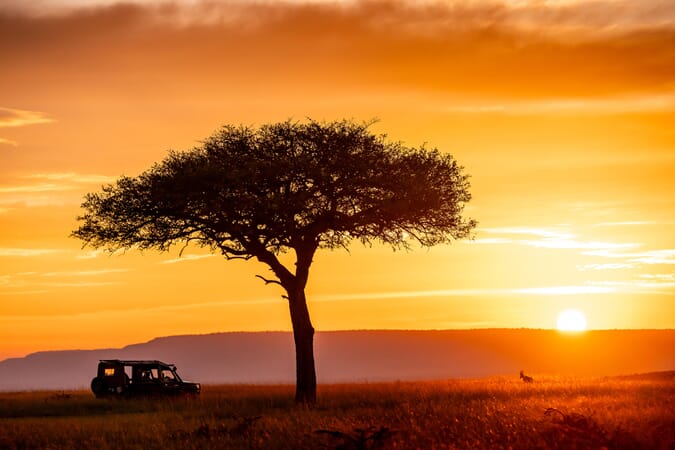 Offbeat Mara Masai Mara Luxury Family Safaris Kenya Coral Tree Travel
