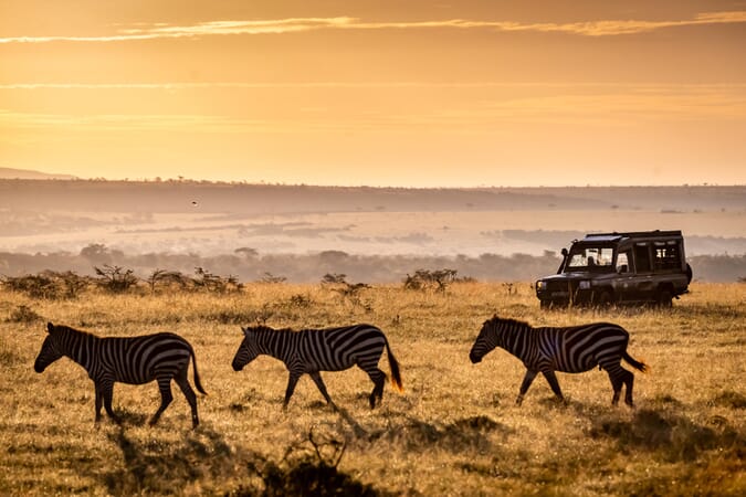 Offbeat Mara Masai Mara Luxury Family Safaris Kenya Coral Tree Travel