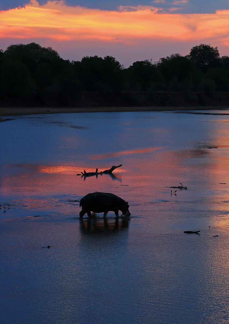 Flatdogs Camp Luxury Family Safaris Zambia Coral Tree Travel