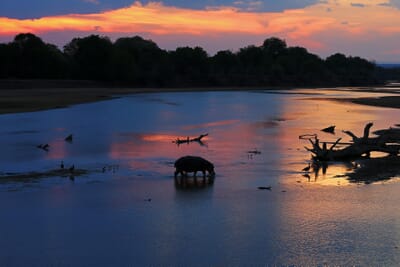 Flatdogs Camp Luxury Family Safaris Zambia Coral Tree Travel