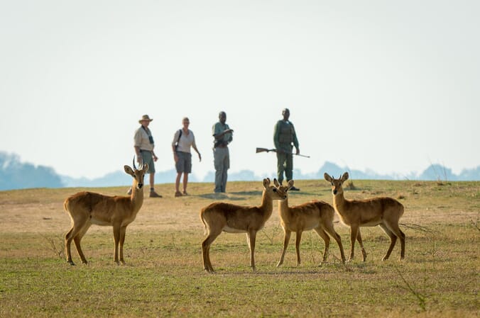 Tena Tena Camp Luxury Family Safaris Zambia Coral Tree Travel