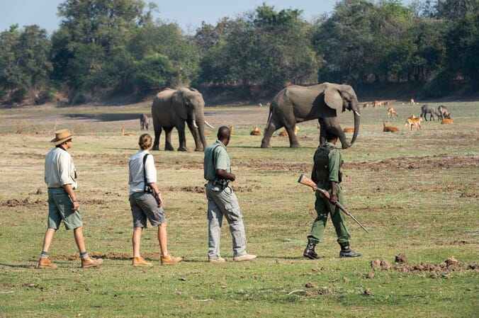 Tena Tena Camp Luxury Family Safaris Zambia Coral Tree Travel