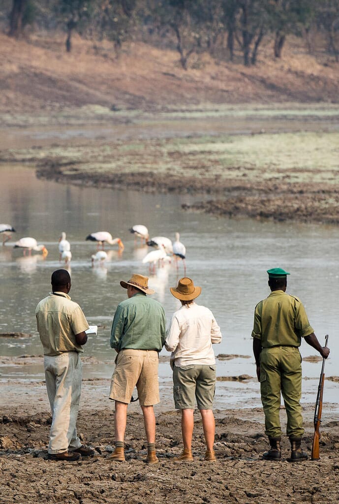 Tena Tena Camp Luxury Family Safaris Zambia Coral Tree Travel