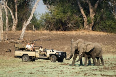 Tena Tena Camp Luxury Family Safaris Zambia Coral Tree Travel