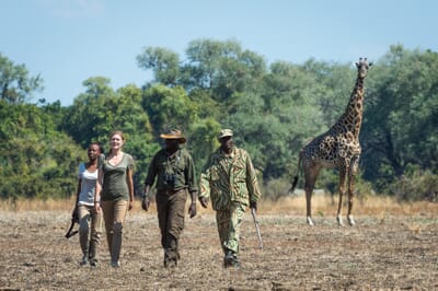 Robin's House Luxury Family Safaris Zambia Coral Tree Travel
