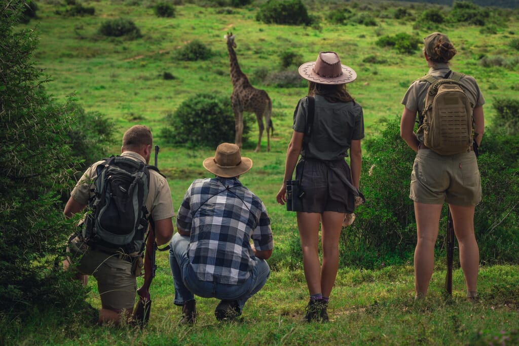 Eastern Cape Game Reserves South Africa Coral Tree Travel