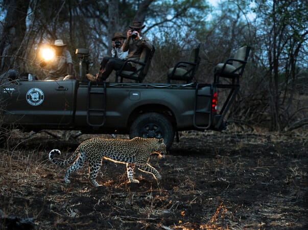 Kaingo Camp Luxury Family Safaris Zambia Coral Tree Travel