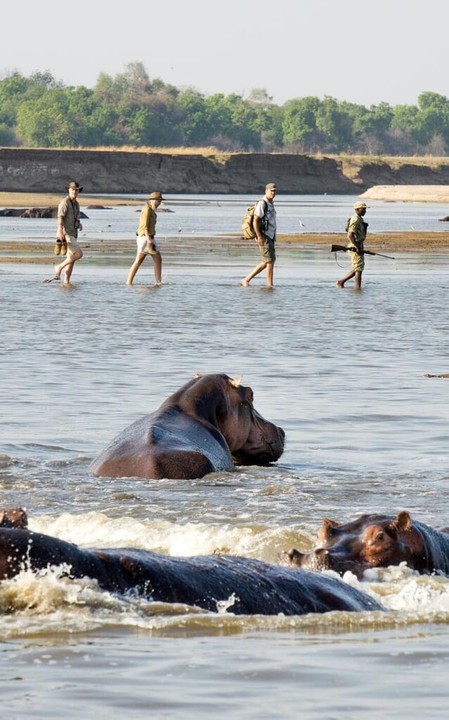 Kaingo Camp Luxury Family Safaris Zambia Coral Tree Travel