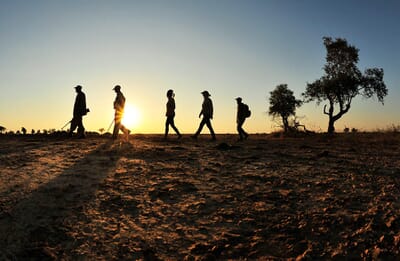 Lion Camp Luxury Family Safaris Zambia Coral Tree Travel