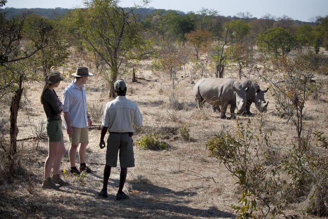 Thorntree River Camp Luxury Family Safaris Zambia Coral Tree Travel