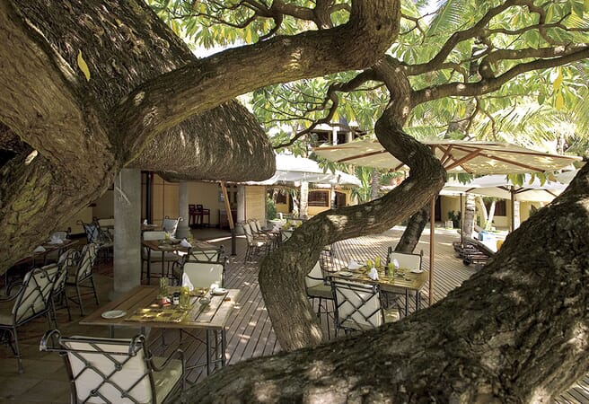 Constance Belle Mare Plage Luxury Family Safaris Mauritius Coral Tree Travel