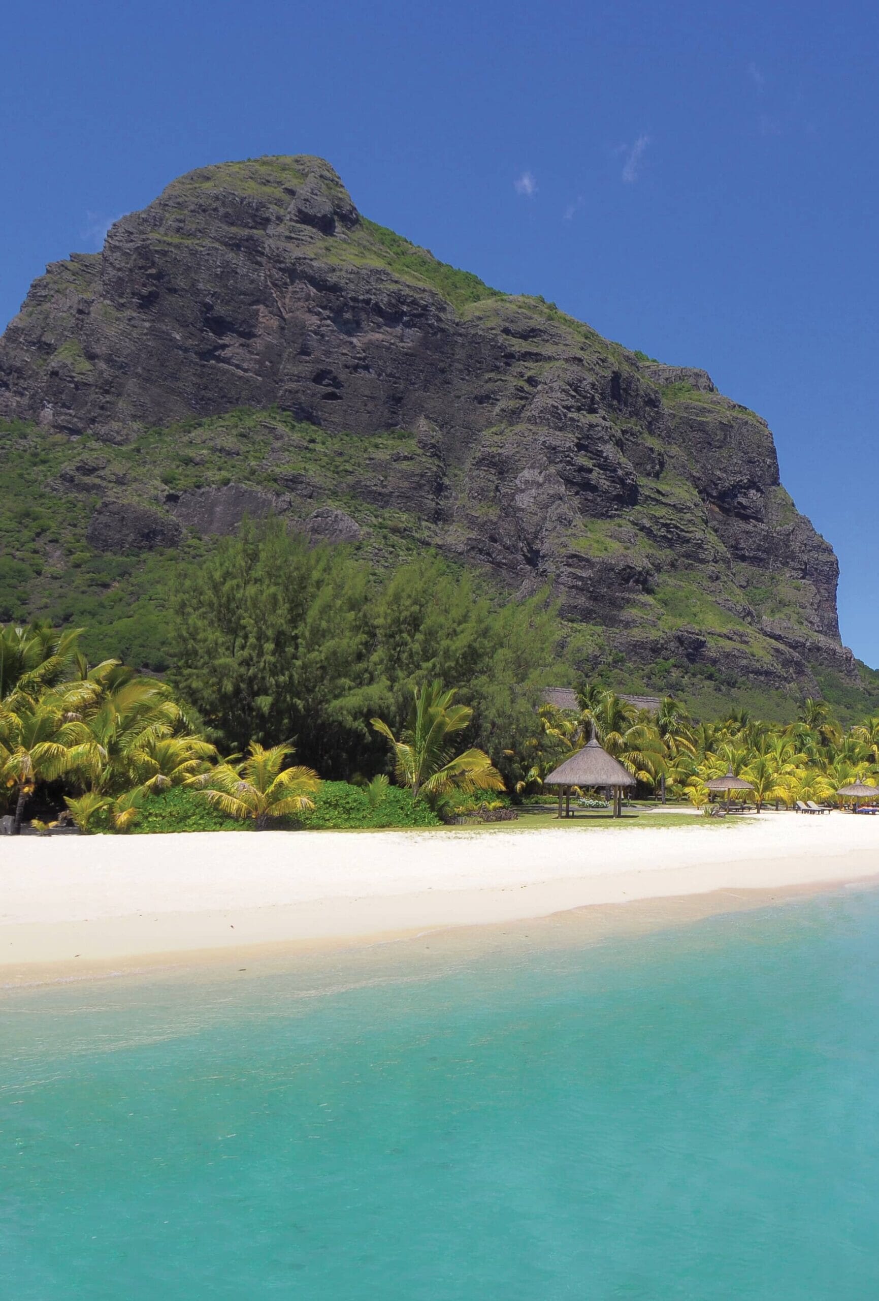 freecompress-Beachcomber-Dinar-scaled.jpg?w=473&h=700&scale