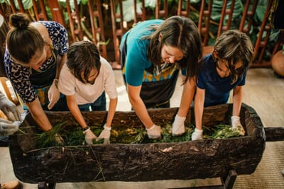 Kigali Luxury Family Safaris Rwanda Coral Tree Travel