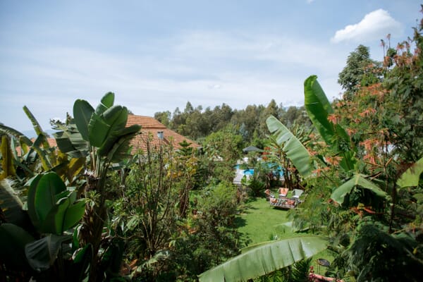 Five Volcanoes Boutique Hotel Volcanoes National Park Coral Tree Travel