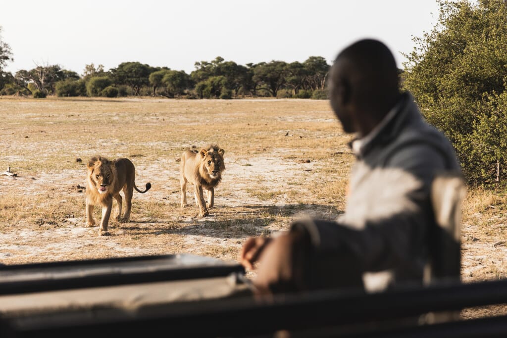 Wilderness Little Makalolo Hwange National Park Luxury Family Safaris Zimbabwe