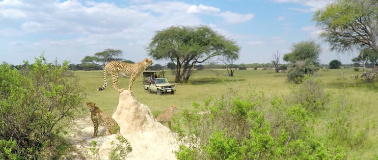 The Hide Hwange National Park Luxury Family Safaris Zimbabwe Coral Tree Travel