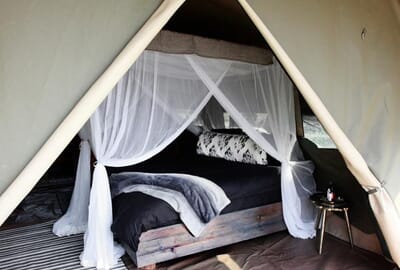 Shoebill Island Camp Bangweulu Wetlands Luxury Family Safaris Zambia Coral Tree Travel