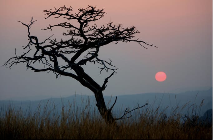 Big Cave Camp Matobo National Park Luxury Family Safaris Zimbabwe Coral Tree Travel