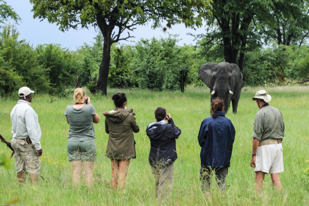 Bomani Tented Lodge Hwange National Park Luxury Family Safaris Zimbabwe