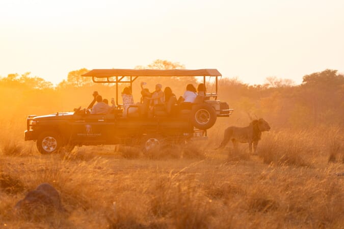 Sable Valley Hwange National Park Luxury Family Safaris Zimbabwe Coral Tree Travel