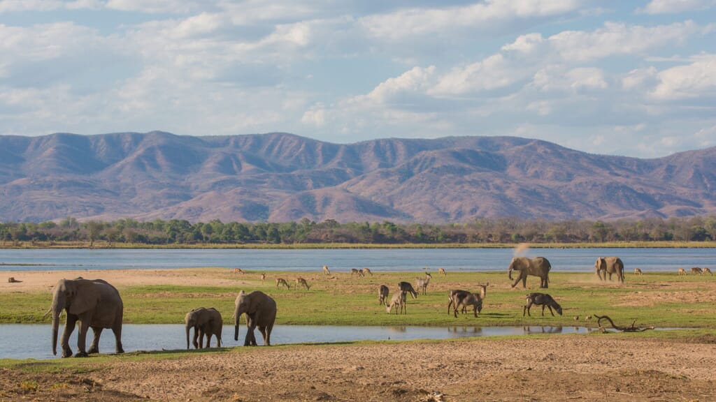 Luxury Family Safaris Mana Pools Zimbabwe