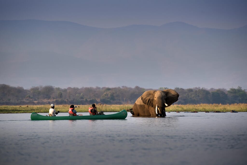 Nyamatusi Mahogany Luxury Family Safaris Zimbabwe Coral Tree Travel