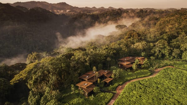One&Only Nyungwe House Nyungwe National Park Luxury Family Safaris Rwanda Coral Tree Travel