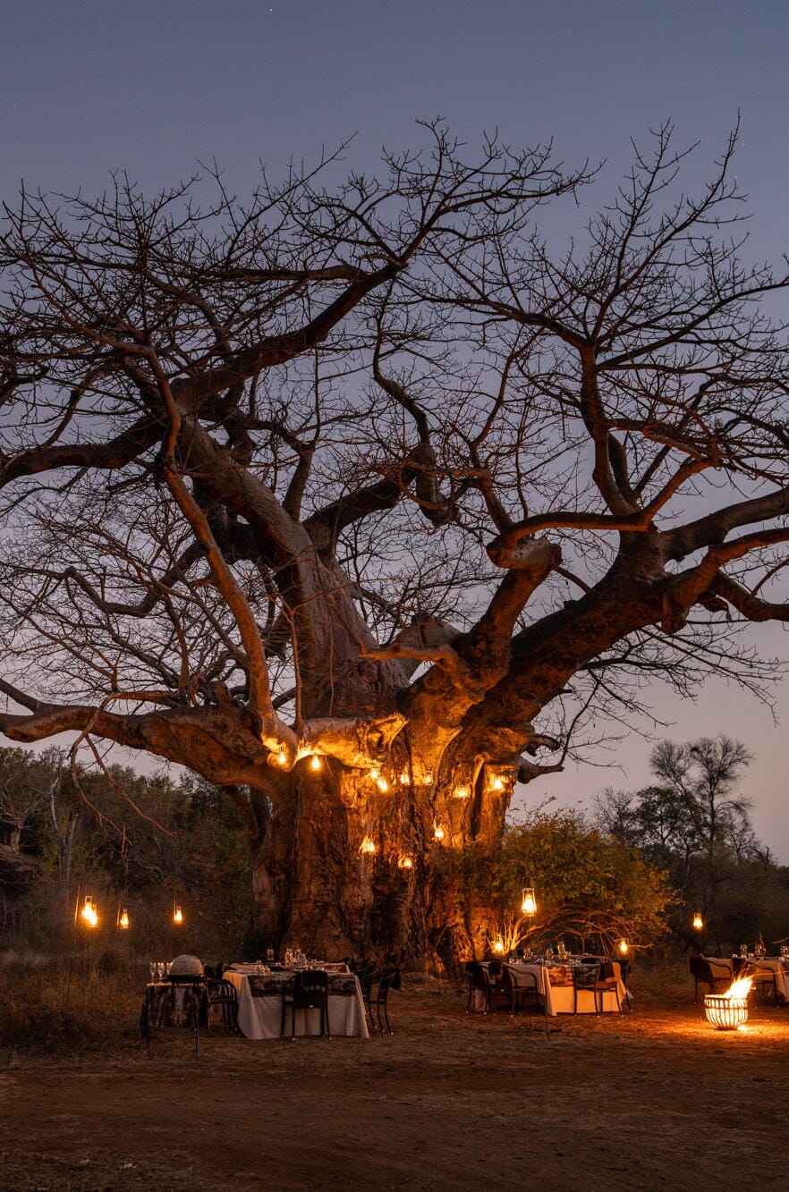 Singita Pamushana Lodge Gonarezhou National Park Luxury Family Safaris Zimbabwe Coral Tree Travel