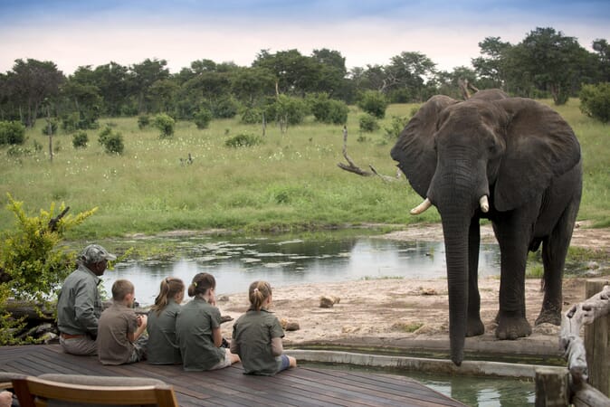 Somalisa Acacia Hwange National Park Luxury Family Safaris Zimbabwe Coral Tree Travel