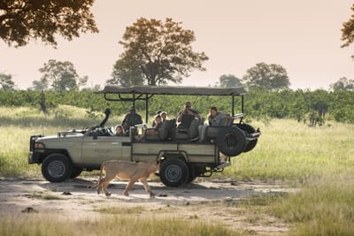 Somalisa Acacia Hwange National Park Luxury Family Safaris Zimbabwe Coral Tree Travel