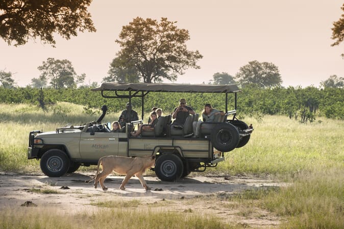 Somalisa Acacia Hwange National Park Luxury Family Safaris Zimbabwe Coral Tree Travel