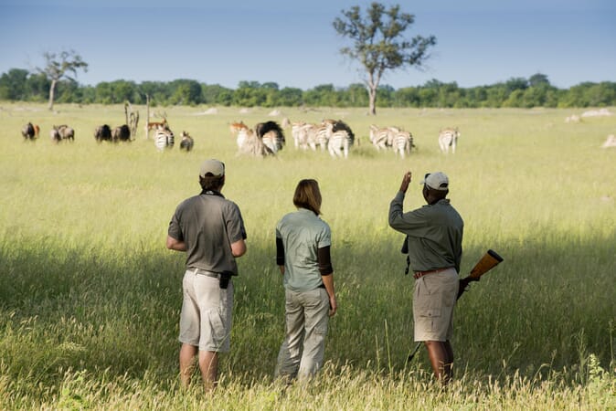 Somalisa Acacia Hwange National Park Luxury Family Safaris Zimbabwe Coral Tree Travel