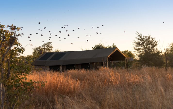 Hwange Bush Camp Hwange National Park Luxury Family Safaris Zimbabwe Coral Tree Travel
