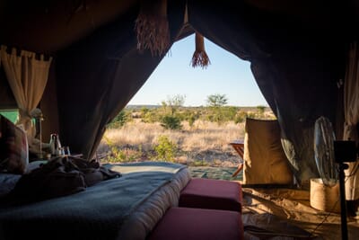 Hwange Bush Camp Hwange National Park Luxury Family Safaris Zimbabwe Coral Tree Travel