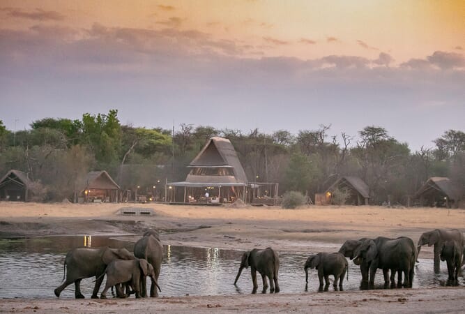The Hide Hwange National Park Luxury Family Safaris Zimbabwe Coral Tree Travel