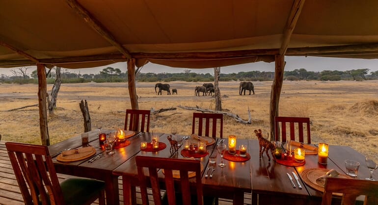 The Hide Hwange National Park Luxury Family Safaris Zimbabwe Coral Tree Travel