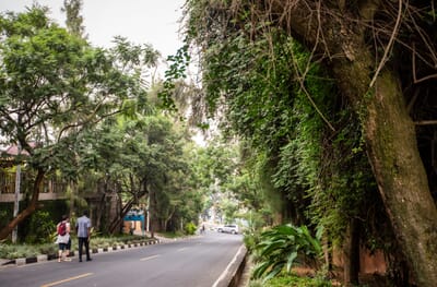 Kigali Luxury Family Safaris Rwanda Coral Tree Travel