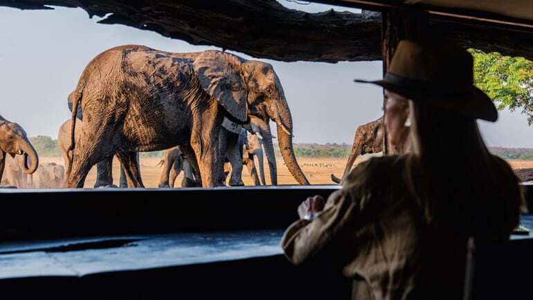 Sable Valley Hwange National Park Luxury Family Safaris Zimbabwe Coral Tree Travel